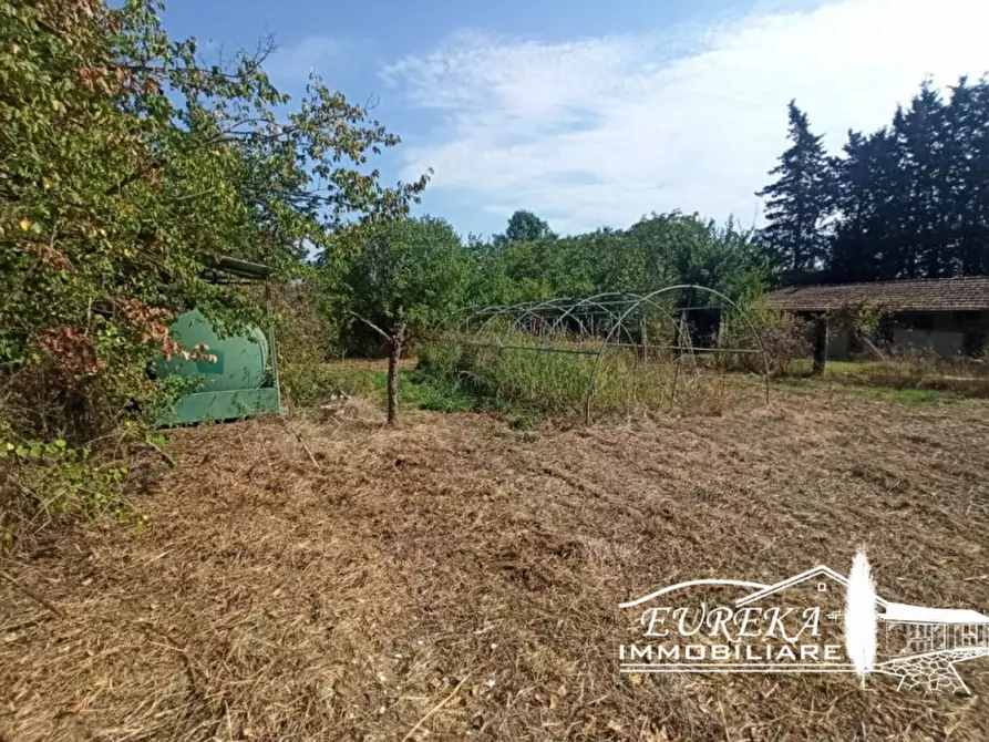 Immagine 29 di Casa indipendente in vendita  in Gioiella a Castiglione Del Lago