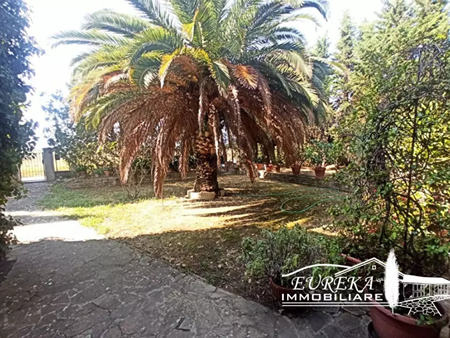 Immagine 32 di Casa indipendente in vendita  in Gioiella a Castiglione Del Lago