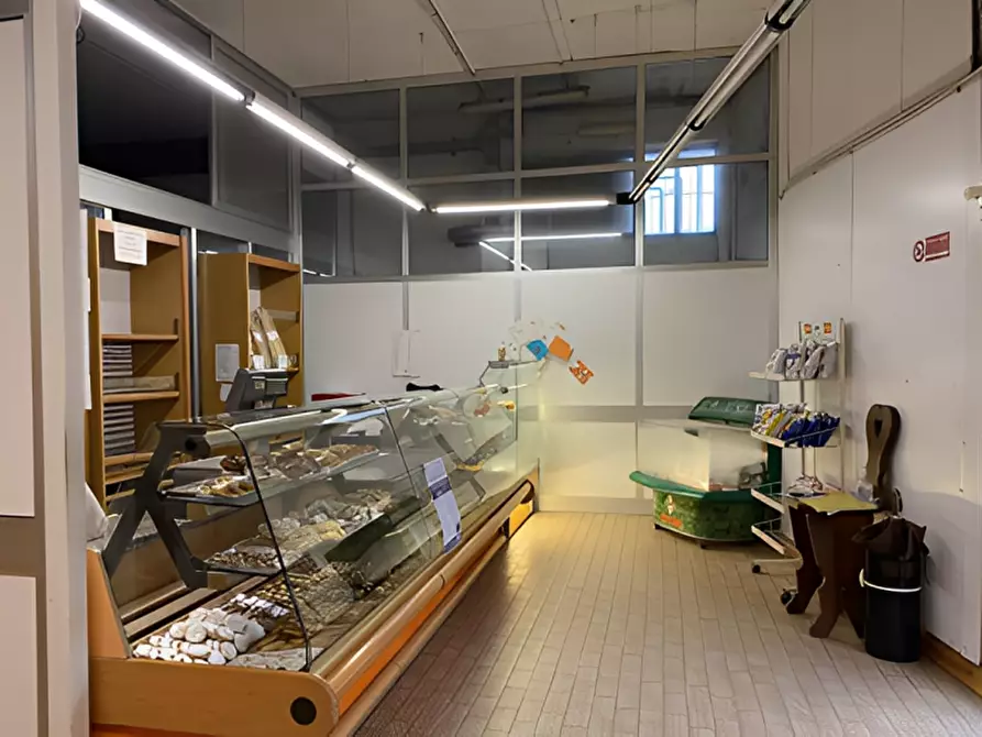 Immagine 3 di Capannone industriale in vendita  in Viale S. Euseo, 30 a Serravalle Sesia