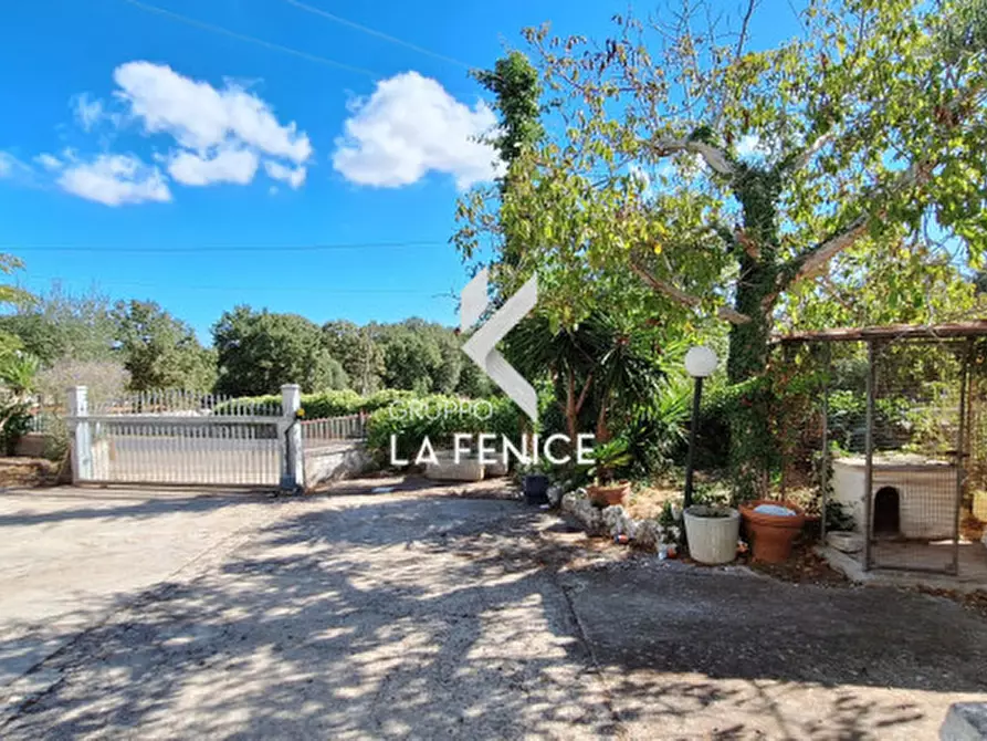 Immagine 9 di Rustico / casale in vendita  in C.da Vitamara a Locorotondo