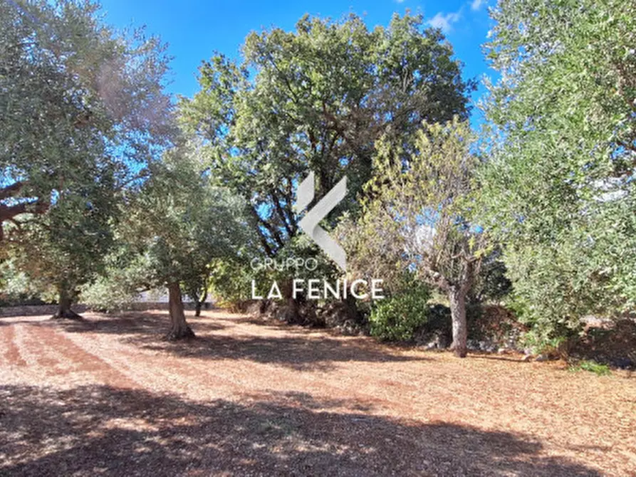 Immagine 15 di Rustico / casale in vendita  in C.da Vitamara a Locorotondo