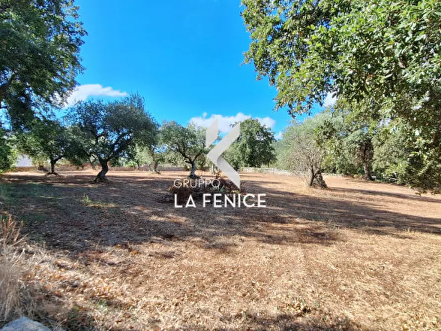 Immagine 16 di Rustico / casale in vendita  in C.da Vitamara a Locorotondo