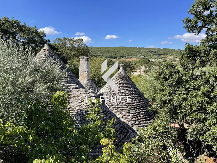 Immagine 67 di Rustico / casale in vendita  in C.da Vitamara a Locorotondo