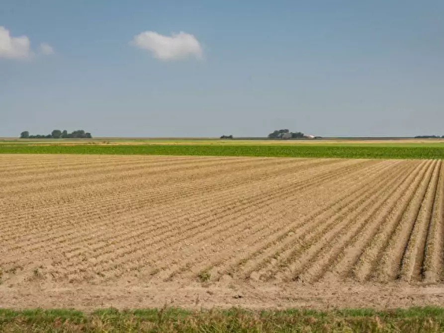 Immagine 1 di Terreno in vendita  a Roncade