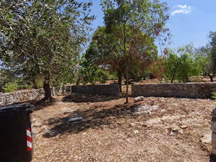 Immagine 43 di Villetta a schiera in vendita  in viale delle viti a Fasano