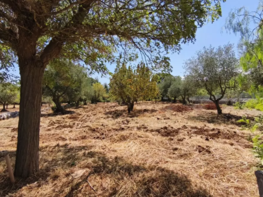 Immagine 44 di Villetta a schiera in vendita  in viale delle viti a Fasano