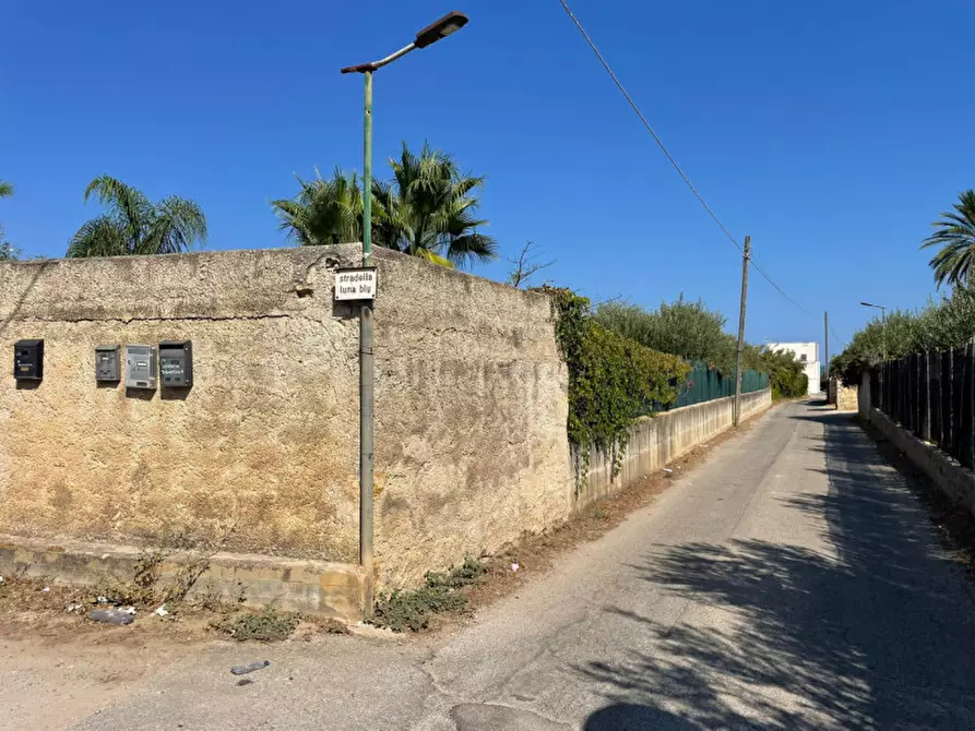 Immagine 2 di Terreno in vendita  in contrada san cataldo a Trappeto