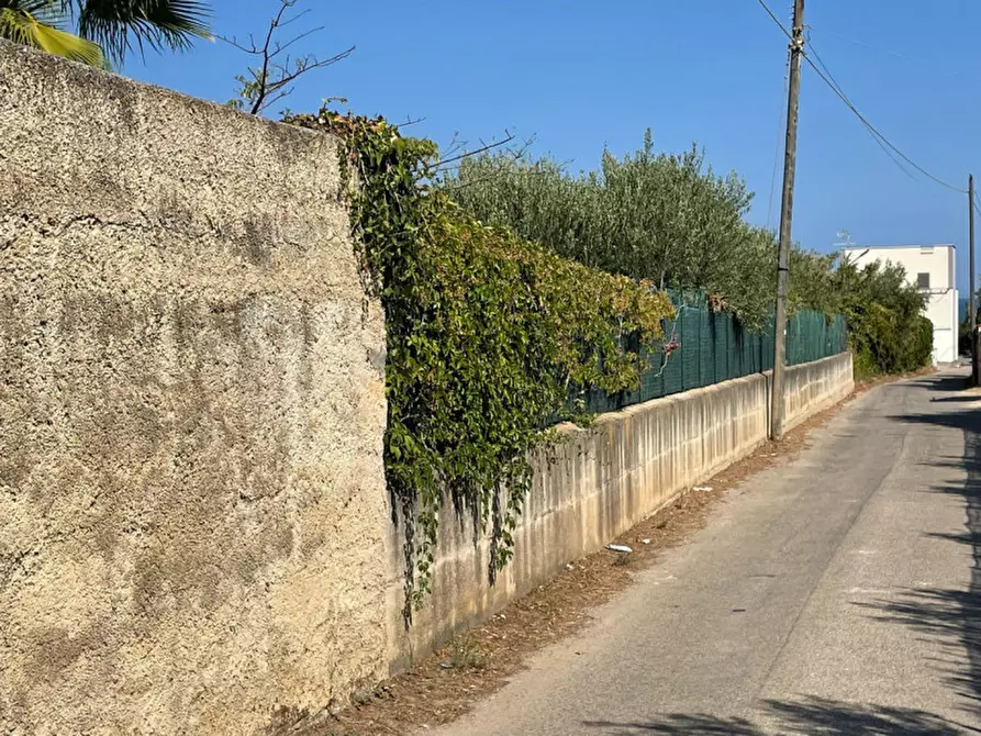 Immagine 3 di Terreno in vendita  in contrada san cataldo a Trappeto
