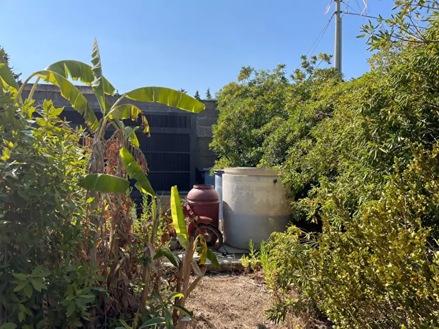 Immagine 4 di Terreno in vendita  in contrada san cataldo a Trappeto