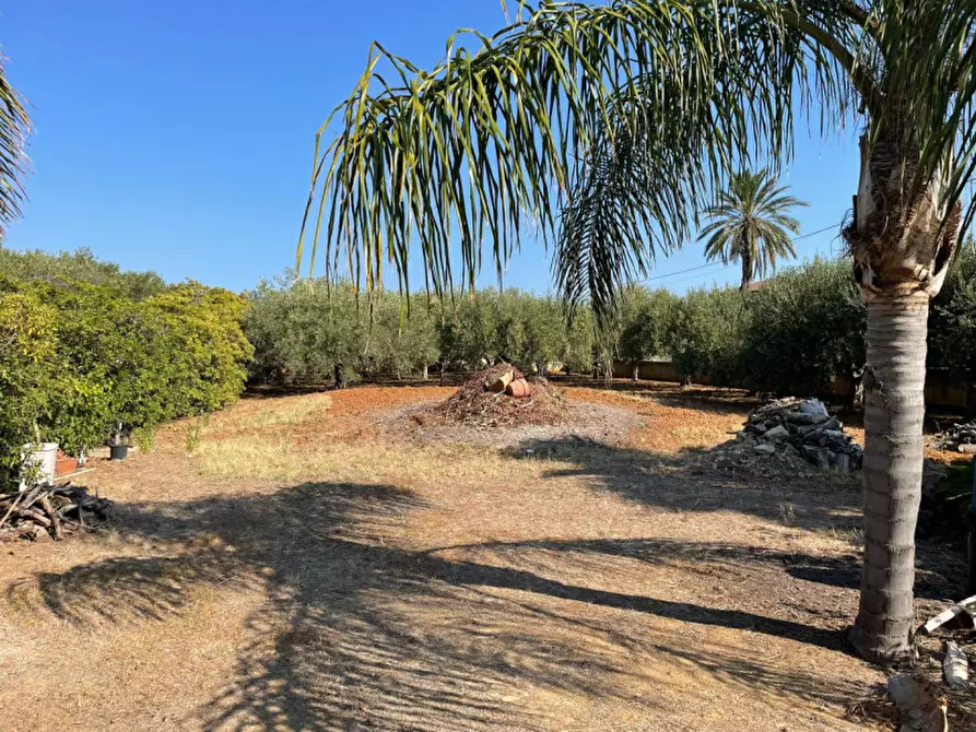 Immagine 5 di Terreno in vendita  in contrada san cataldo a Trappeto