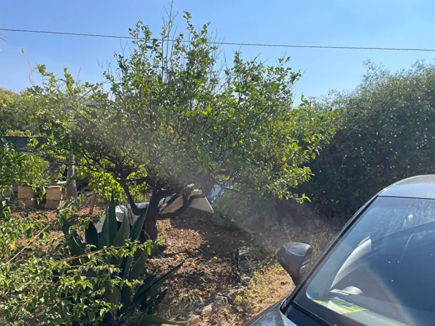 Immagine 7 di Terreno in vendita  in contrada san cataldo a Trappeto