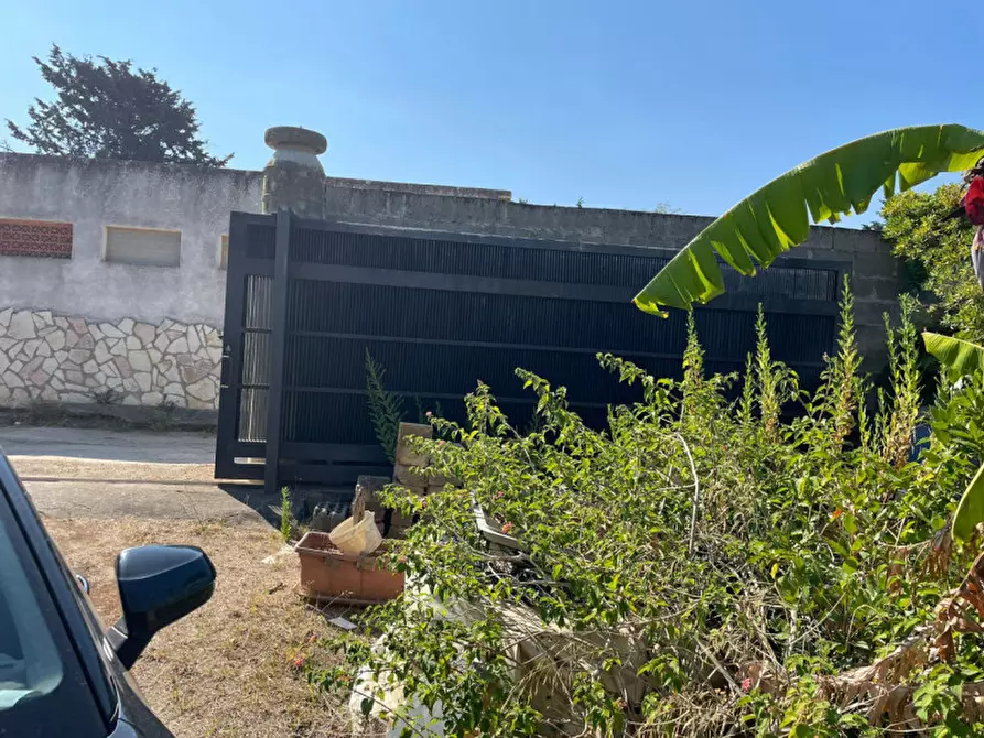 Immagine 11 di Terreno in vendita  in contrada san cataldo a Trappeto