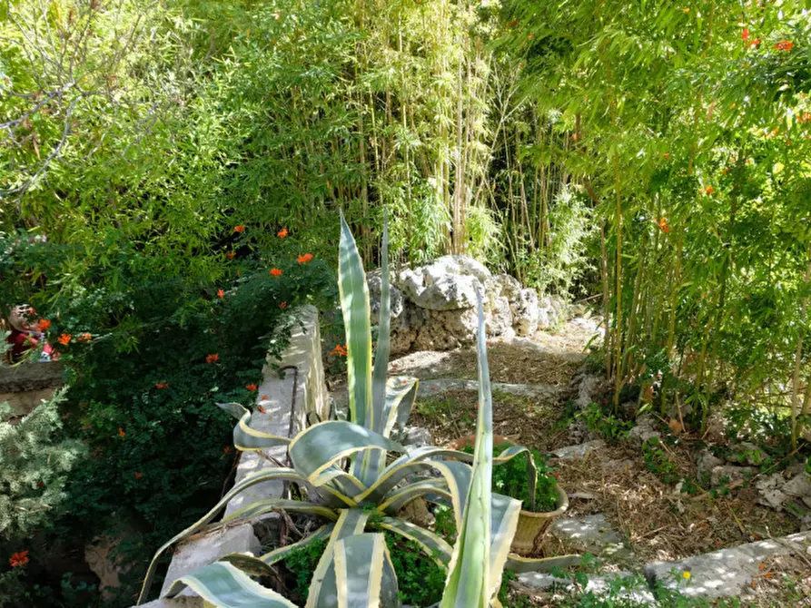 Immagine 94 di Palazzo in vendita  in Via Ascanio Grandi 34 a Lecce