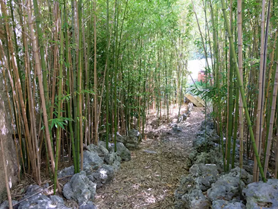 Immagine 96 di Palazzo in vendita  in Via Ascanio Grandi 34 a Lecce