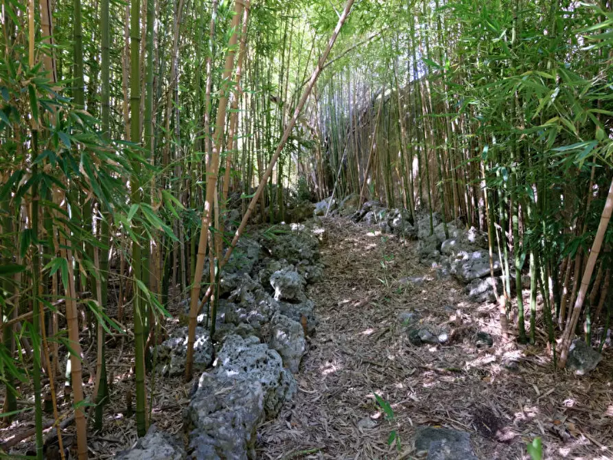 Immagine 99 di Palazzo in vendita  in Via Ascanio Grandi 34 a Lecce