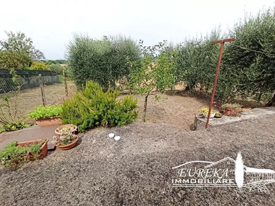 Immagine 20 di Appartamento in vendita  in Via dei Partigiani a Castiglione Del Lago