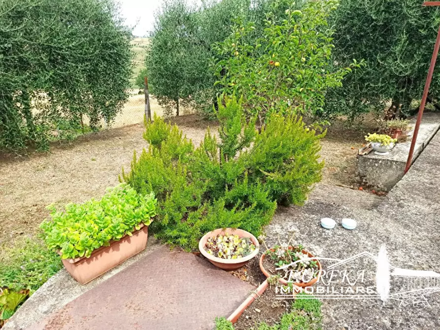 Immagine 21 di Appartamento in vendita  in Via dei Partigiani a Castiglione Del Lago