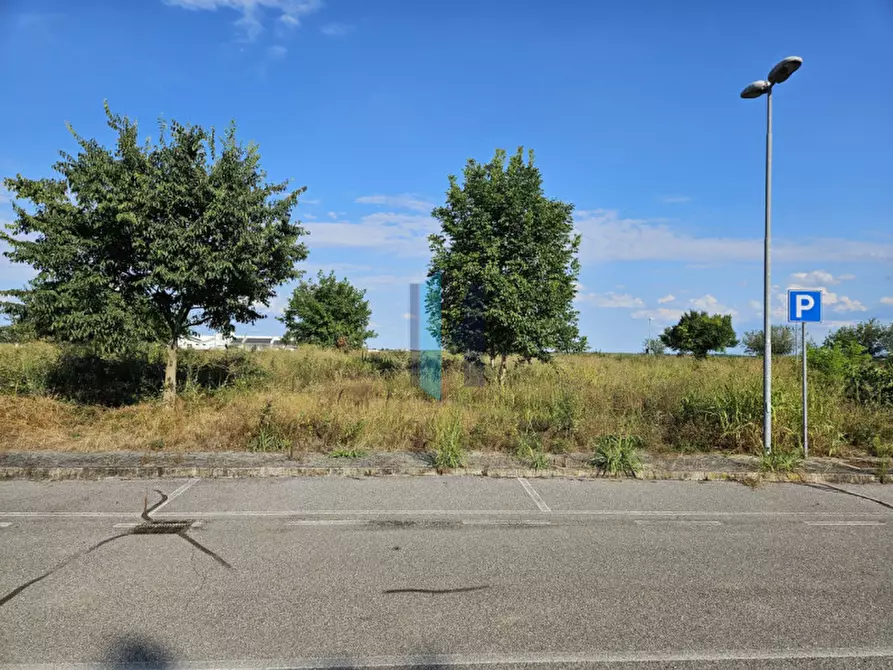 Immagine 9 di Terreno in vendita  in Via Eugenio Montale a Borgo Virgilio