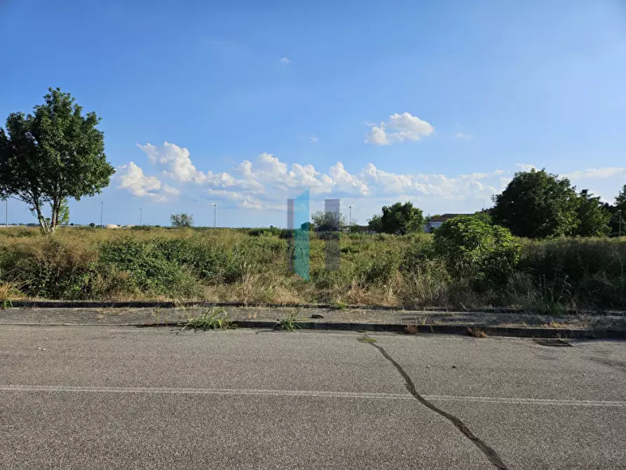 Immagine 10 di Terreno in vendita  in Via Eugenio Montale a Borgo Virgilio