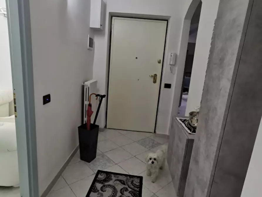 Immagine 10 di Appartamento in vendita  in Via Antonio Purificato a Catanzaro