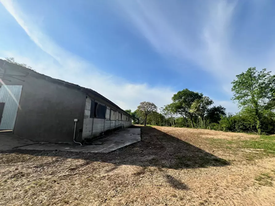 Immagine 3 di Capannone industriale in vendita  a Alonte