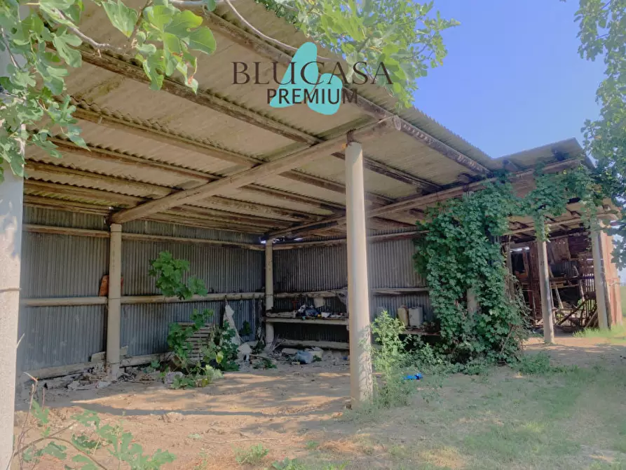 Immagine 25 di Casa indipendente in vendita  in via dei benedettini a Forli'