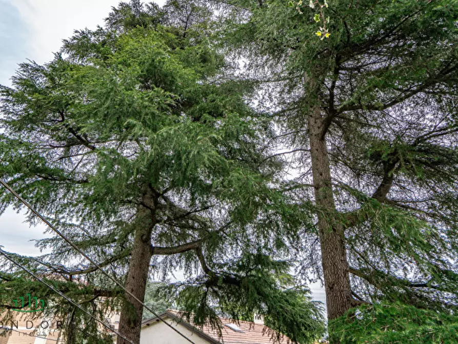 Immagine 39 di Appartamento in vendita  in Via Angelo Mariani a Bologna