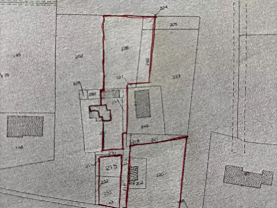 Immagine 31 di Casa bifamiliare in vendita  in via argine sinistro 54 a Bovolenta