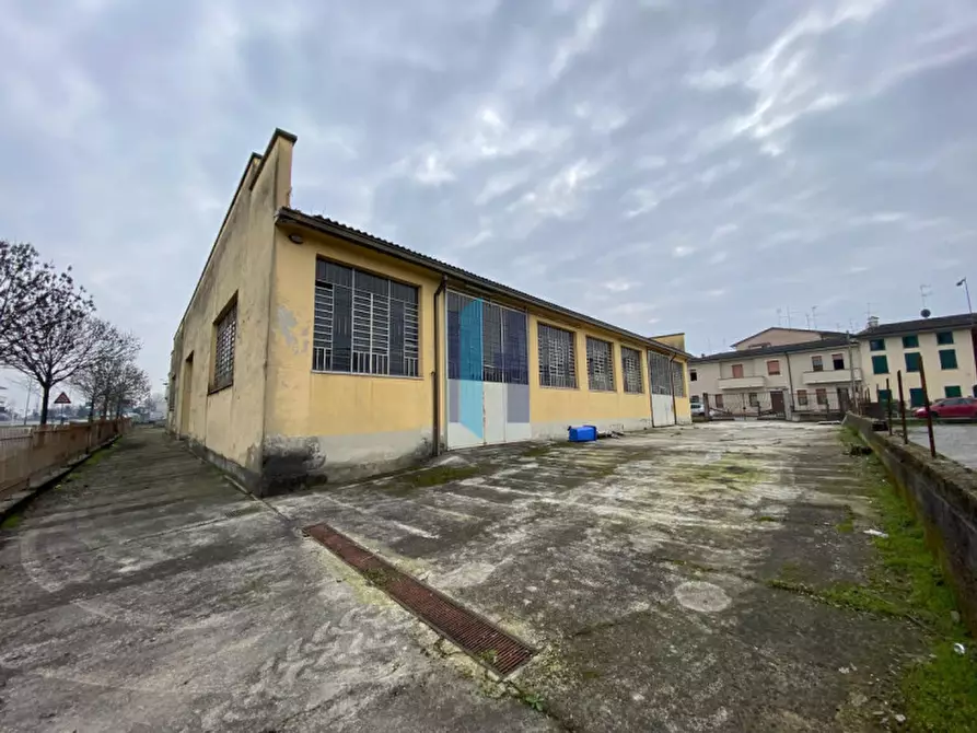 Immagine 6 di Casa indipendente in vendita  in Viale Montenero 12 a Orzinuovi