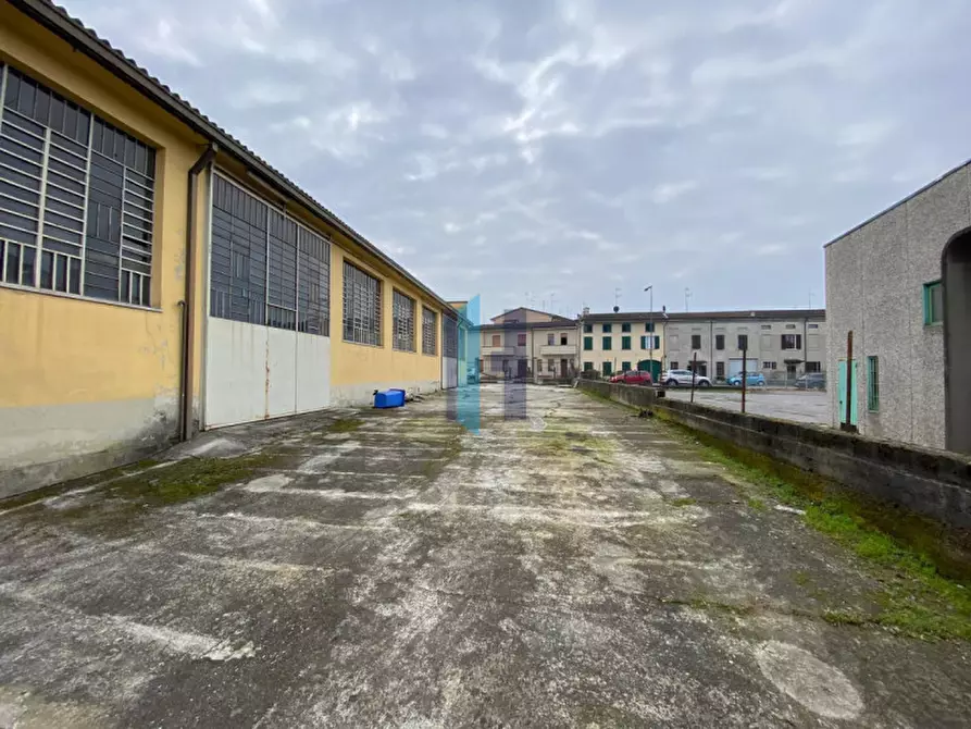 Immagine 7 di Casa indipendente in vendita  in Viale Montenero 12 a Orzinuovi