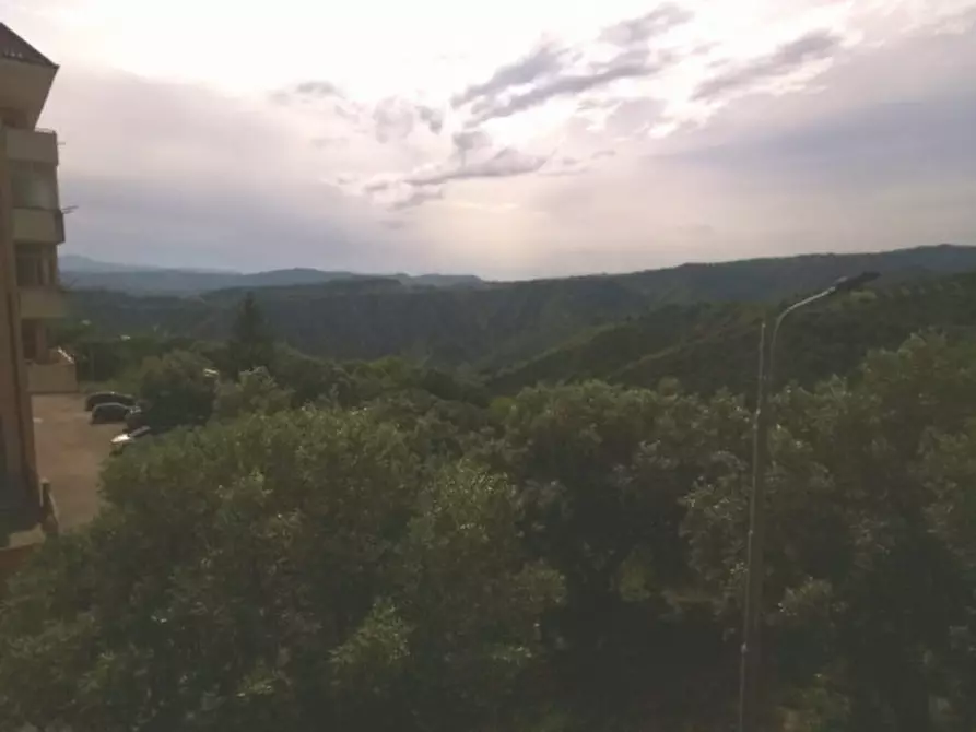 Immagine 18 di Appartamento in vendita  in Via Biagio Miraglia a Catanzaro