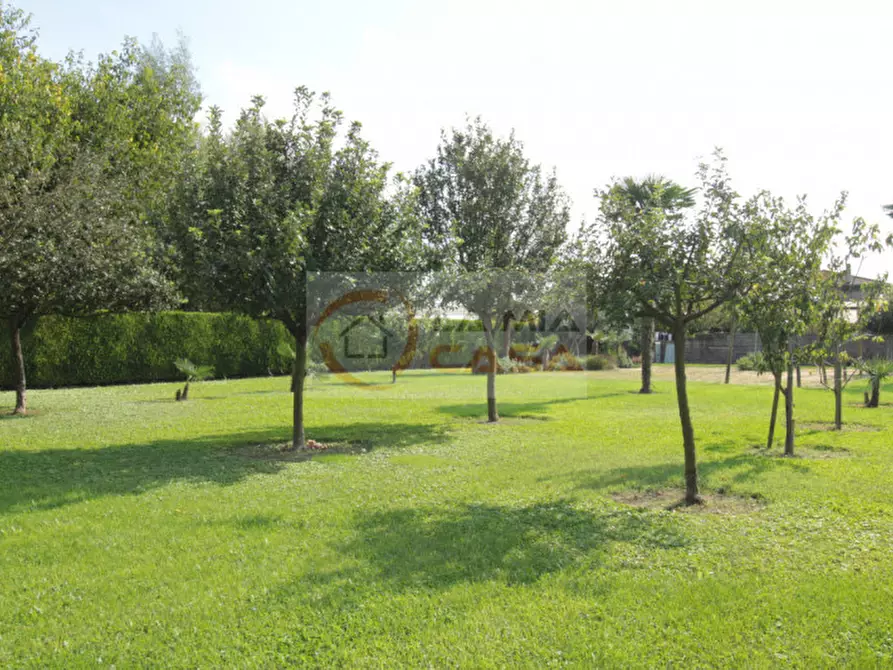 Immagine 5 di Casa bifamiliare in vendita  in Via Ardoneghe - Legnaro a Legnaro