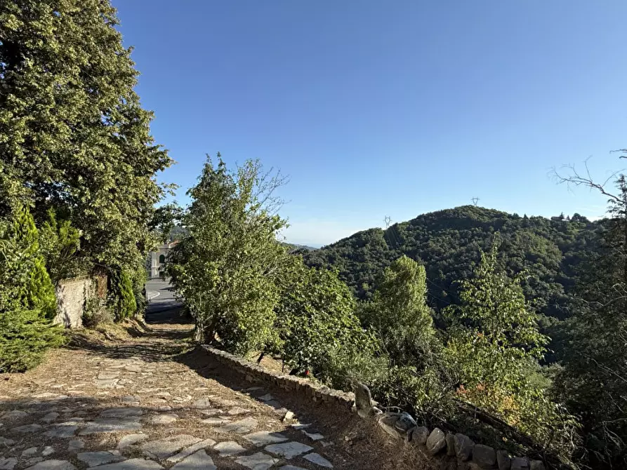 Immagine 31 di Villa in vendita  in Via Andrea gallino a Mignanego