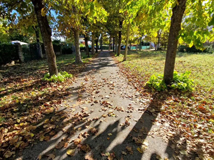 Immagine 38 di Casa quadrifamiliare in vendita  in Via Sirio 20/C a Comacchio
