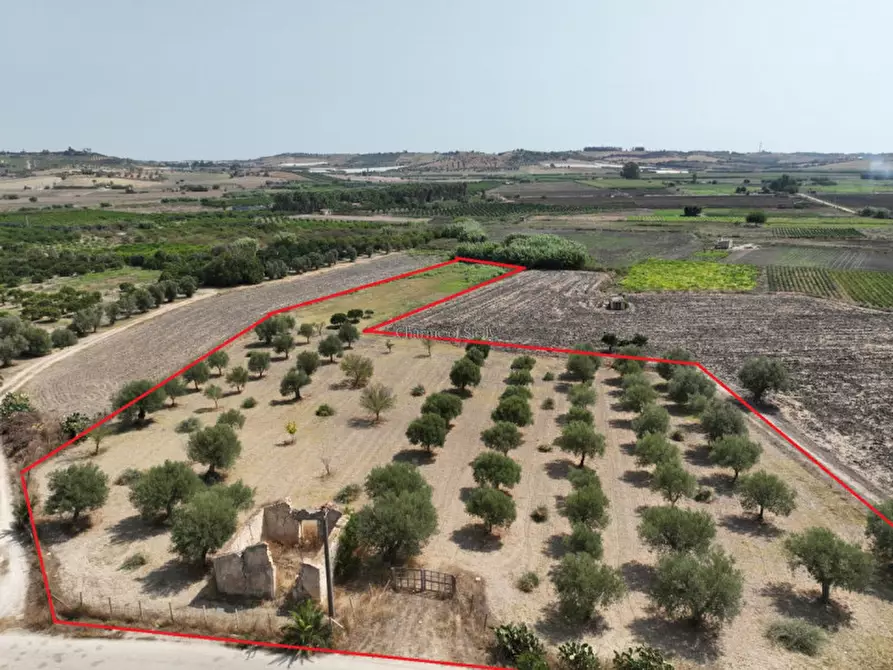 Immagine 1 di Terreno in vendita  in Strada comunale Palmento Marchese Nardella Passi a Ispica