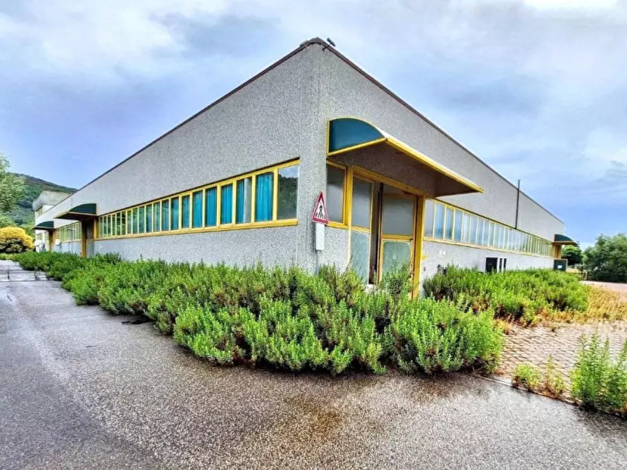 Immagine 10 di Magazzino in vendita  in Via Aldo Moro, 31, 56010 Vicopisano PI, Italia a Vicopisano