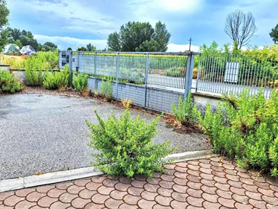 Immagine 20 di Magazzino in vendita  in Via Aldo Moro, 31, 56010 Vicopisano PI, Italia a Vicopisano