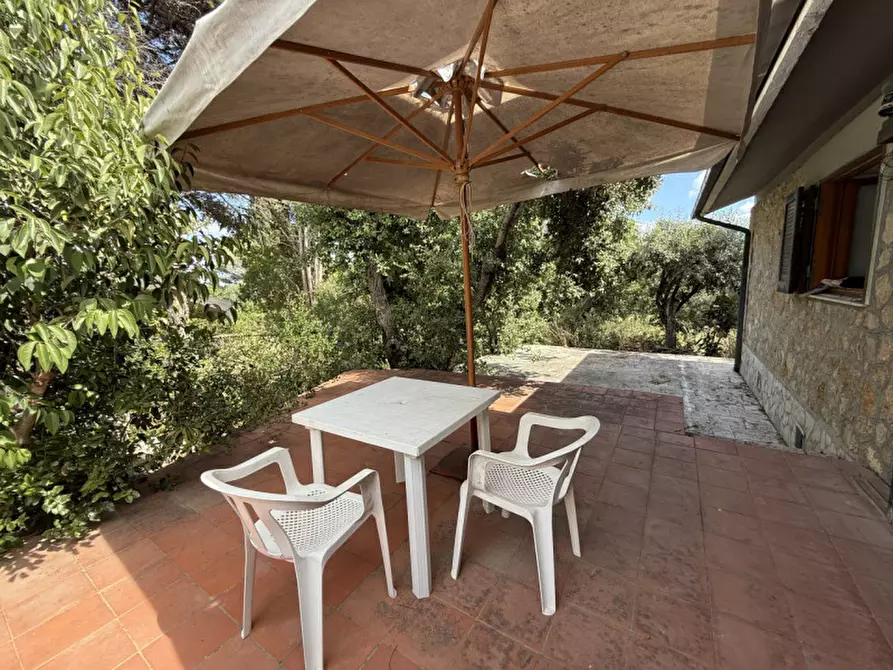 Immagine 19 di Villa in vendita  in Via del Rosmarino a Orbetello