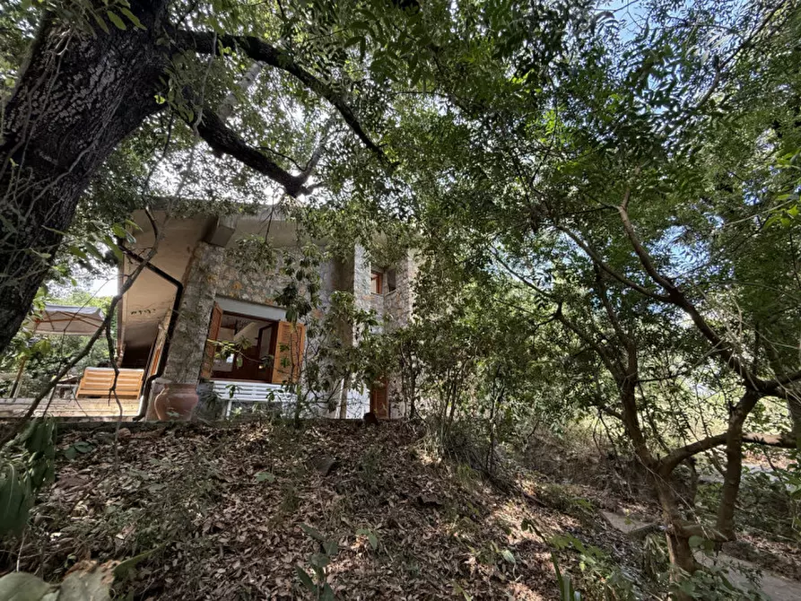 Immagine 20 di Villa in vendita  in Via del Rosmarino a Orbetello