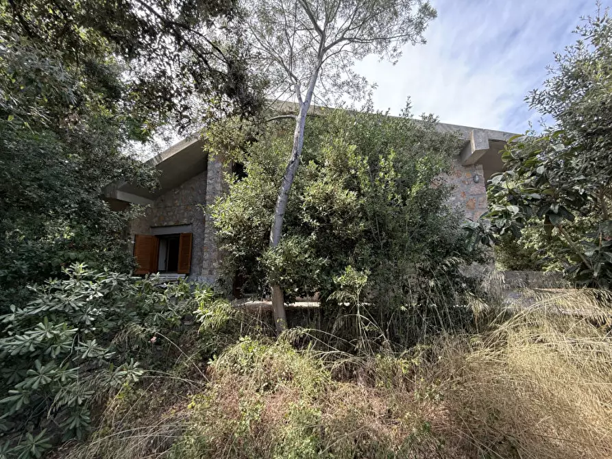 Immagine 21 di Villa in vendita  in Via del Rosmarino a Orbetello