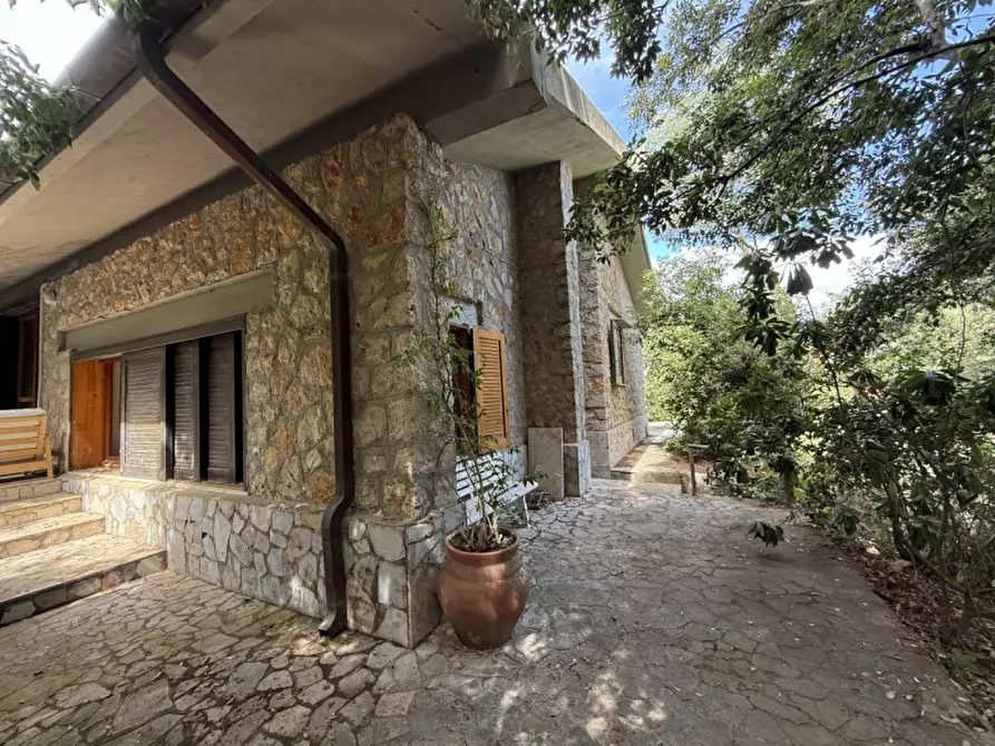 Immagine 22 di Villa in vendita  in Via del Rosmarino a Orbetello