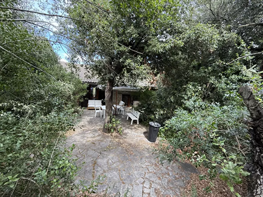 Immagine 23 di Villa in vendita  in Via del Rosmarino a Orbetello