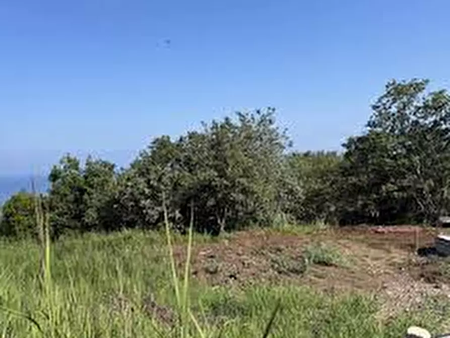 Immagine 1 di Terreno in vendita  in Via Capitello a Brogliano