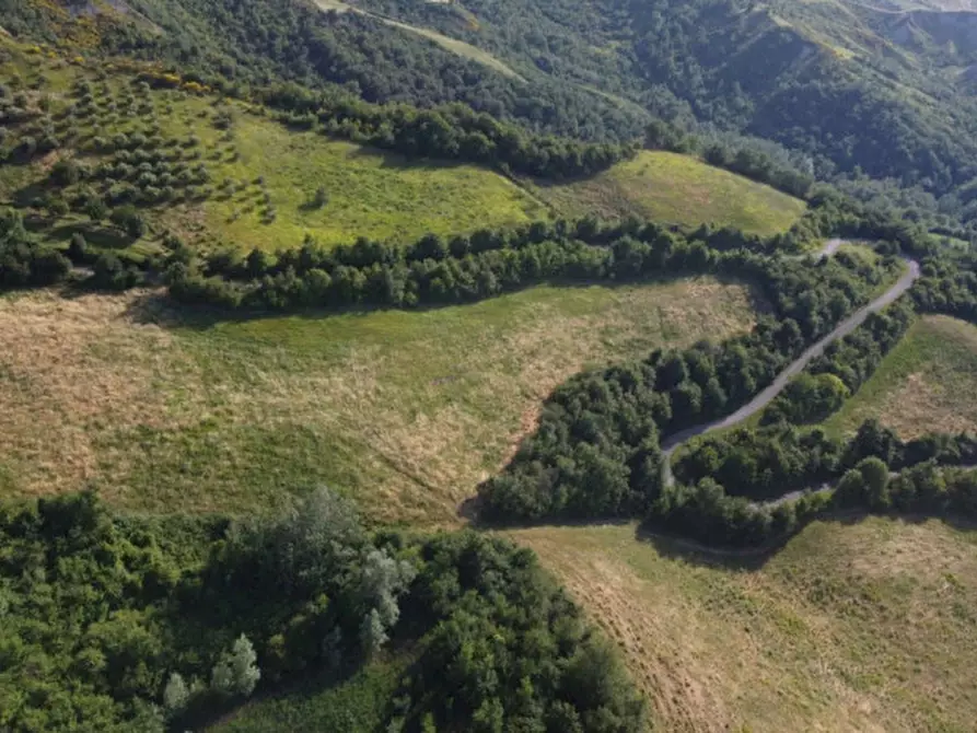 Immagine 2 di Terreno in vendita  in Via Capitello a Brogliano