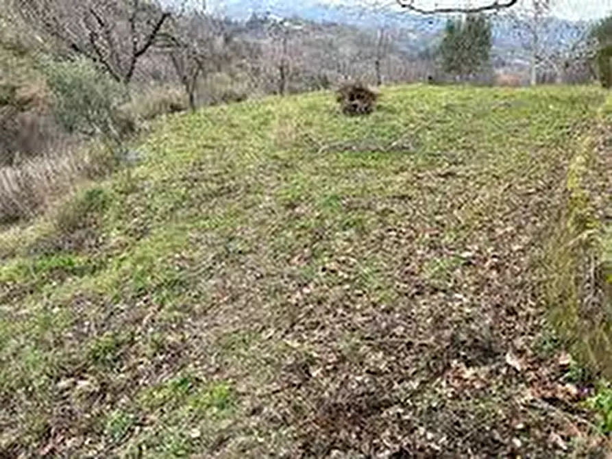Immagine 3 di Terreno in vendita  in Via Capitello a Brogliano