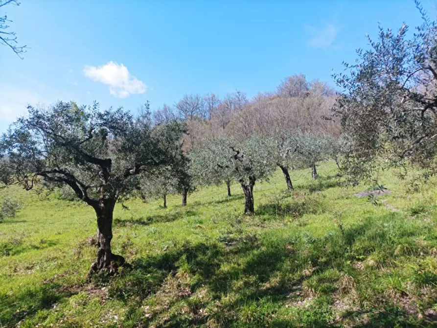 Immagine 4 di Terreno in vendita  in Via Capitello a Brogliano