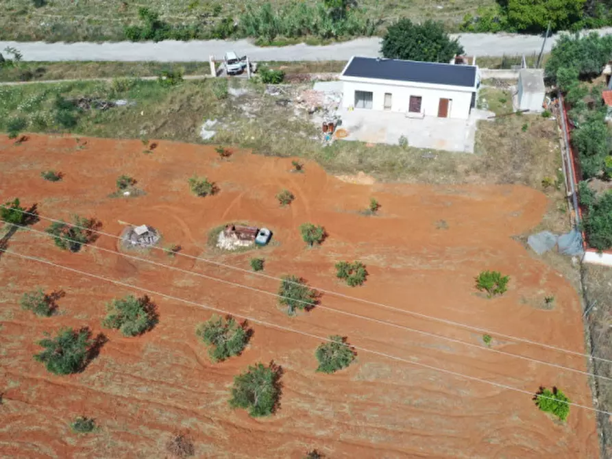 Immagine 14 di Villa in vendita  in Via Federico II a Terrasini