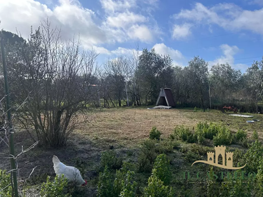 Immagine 12 di Appartamento in vendita  in MECCUCIAMI a Castiglione Del Lago