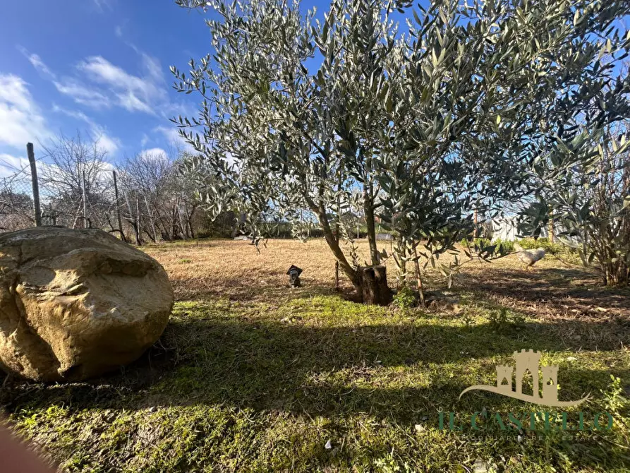 Immagine 13 di Appartamento in vendita  in MECCUCIAMI a Castiglione Del Lago
