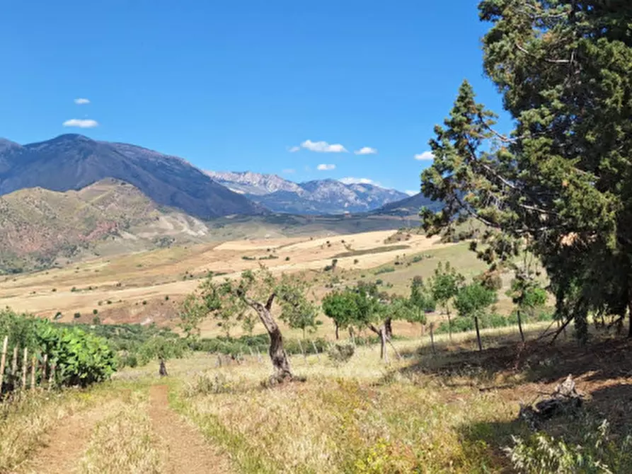 Immagine 15 di Terreno in vendita  in contrada granza a Sclafani Bagni